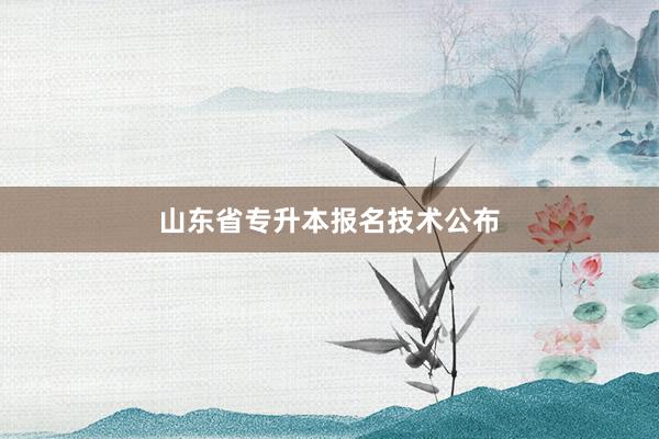 山东省专升本报名技术公布